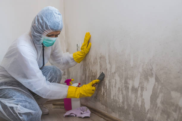 Best Biohazard Mold Removal  in Midway South, TX